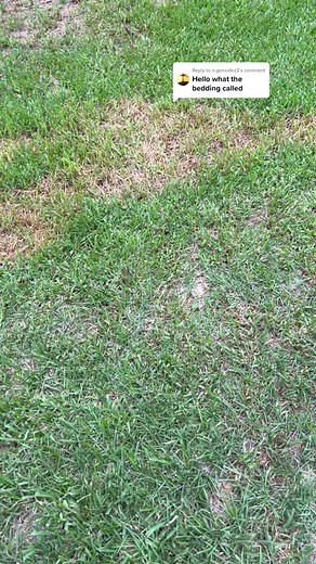 Natural Pine Pelletized Bedding from Tractor Supply - Clean and Absorbent