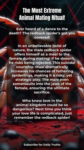 The Most Extreme Animal Mating Ritual!