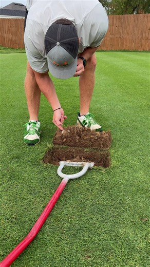 Replying to @kyla_fashionandfreak Findng Weird Stuff Under my Lawn Again #LawnRenovation