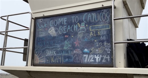 Surfers, lifeguards in Cayucos report multiple recent shark sightings