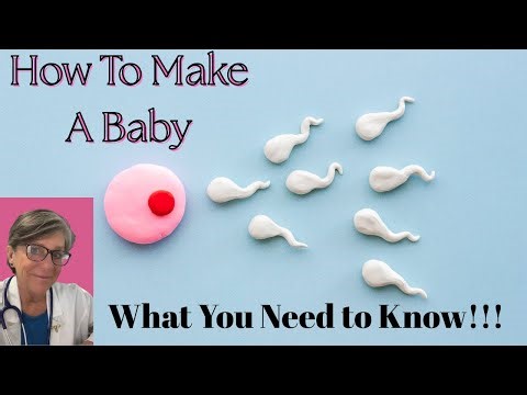 How To Make A Baby: What You Need to Know!!