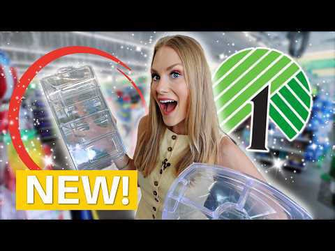 Dollar Tree *Just Dropped* NEW Organizing Products! 🎉 (Pantry Makeover Inside!)