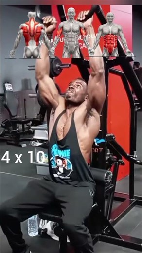 workout Split back/ bíceps/ ABS routine #gym #backworkout #biceps #abs