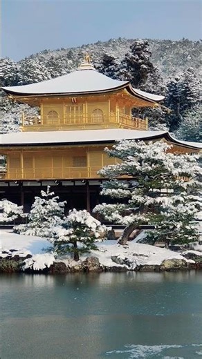 雪をかぶった金閣寺へ//Golden temple in winter #winter#goldentemple#kyoto#京都#金閣寺#ゆき#冬金閣寺