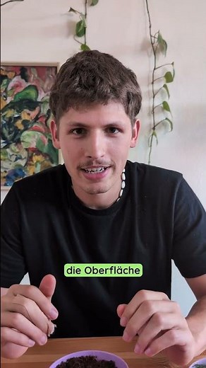 Unsere Kurzanleitung zur Anzucht des Mammutbaum aus Samen! 🌱