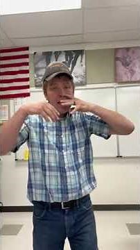 Female Animal Reproductive Tract Comparison