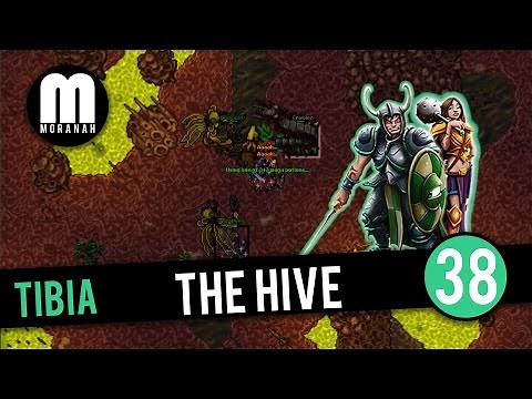 Tibia - #38 - Elite Knight hunting The Hive