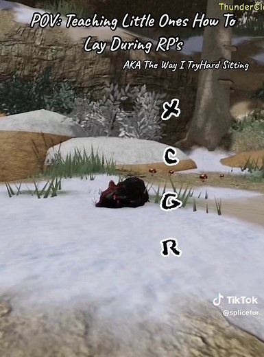 Support a New WC Creator: Gaming and Warrior Cat RP on Roblox