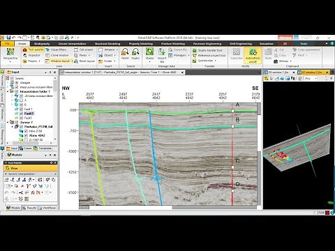 Seismic Interpretation Manual tracking (horizons +faults)