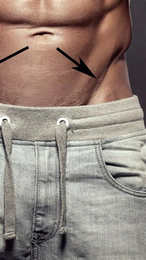 Institute of Human Anatomy on Instagram: "The Femoral Triangle: Your Body's Secret Access Point to the Heart 🫀💉 Let me show you an incredibly cool anatomical relationship that saves lives every day! What You're Looking At 🔬 This is the left thigh/groin area. See that muscle called the sartorius? The majority of the femoral artery is actually covered up by it! The femoral artery continues down the thigh wrapped in a sheath (along with the femoral vein and other structures)