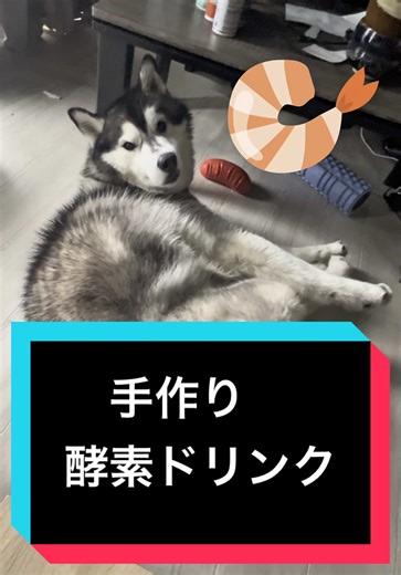ドクダミを活かした手作り酵素ドリンク