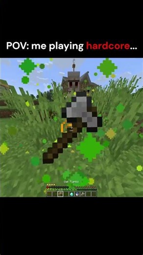 pov: me playing hardcore...