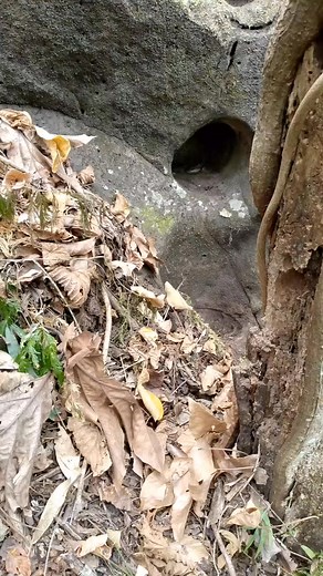 143K views · 2.3K reactions | Giveaways sign infront deposit #viralreels #treasurehunt #treasurehunter #YamashitaTreasure #treasurehunting #yamashita #treasure #treasurehunters #follow #followme | The Treasure Hunters | Facebook