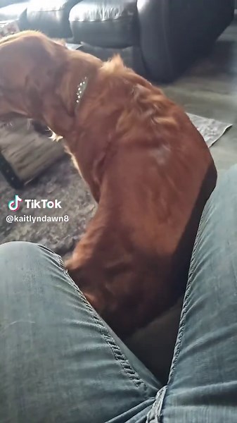 Willow: The Backup Dancer Behind Juvenile