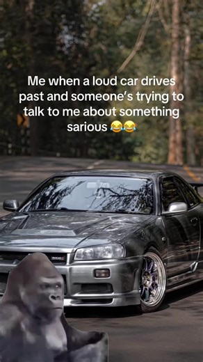 Hilarious Reaction to Loud Cars and Serious Talk