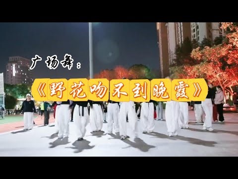 Evening Square Dance in China#squaredance #dance #outdoordance #dancemusic