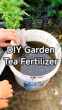 DIY Garden Tea Fertilizer 🌱
