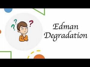 Sequencing Amino acids Using Edman degradation