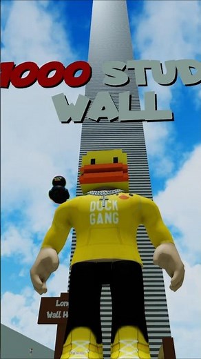 🥵 I Climbed the Biggest Wall in Roblox