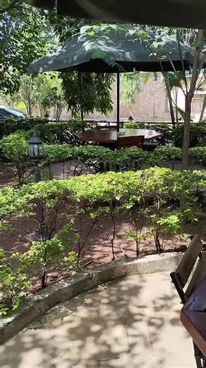 Discover the Tranquil Garden Workspace at Pinecone Hotel