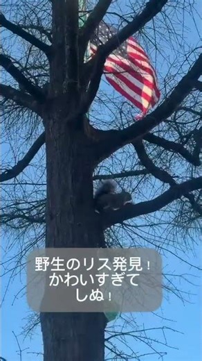 FabCon Atlanta 2026 Day 1-Day 3 Morning Workshop, KeyNone #FabCon #SQLCON #Atlanta #Fabric #micro...