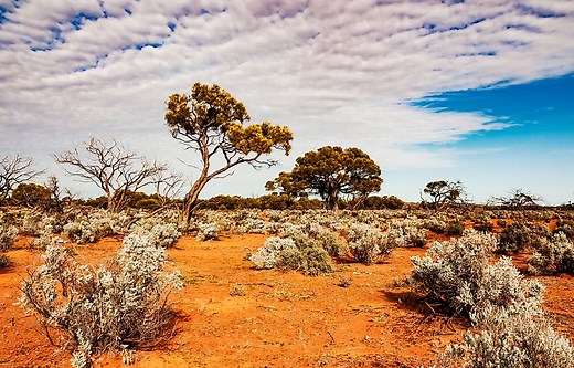 8 Most Driest Countries in the World