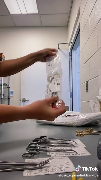 Instrumentos para la castración de caballos