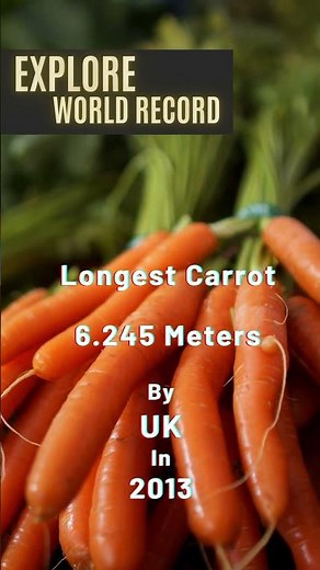 Weird World Records You Won’t Believe Exist! 😱🌍 | Strange, Crazy & Mind-Blowing Records