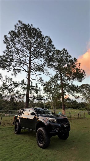 Tidy NP Rigs: Tips and Tricks for a Cleaner Setup