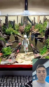 852K views · 5.4K reactions | El acuario que muchos quieren  #fish #aquarium #plants | Ralfish Acuarismo | Facebook