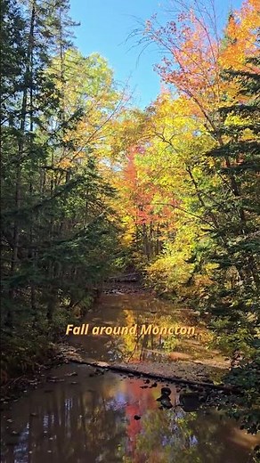 You Won’t Believe These Fall Colors in Moncton!
