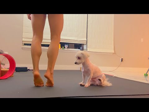 Amara360artflow channeling- Warm up