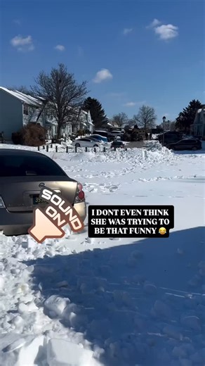 THE LADY HAD ME ROLLING 😂😂😂 But Here Is The Back Story : A 57-year-old male reported that a suspect forced entry into his residence and assaulted him and a 49-year-old male acquaintance. During the incident, the defendant — identified as 33-year-old Ras Loyd of Bear, Delaware — assaulted both victims, knocking one of them unconscious, and threatened them with a firearm. Officers determined the incident stemmed from a dispute over snow shoveling and an assigned parking space. Both victims were