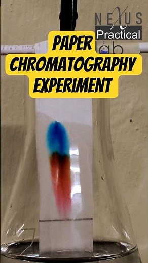 Paper Chromatography | NEXUS Science Hub Lab