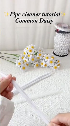 Simple pipe cleaner tutorial: common daisy
