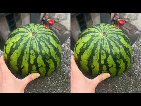 Experiment: Will a watermelon explode if it rolls off a tall building? 🍉💥