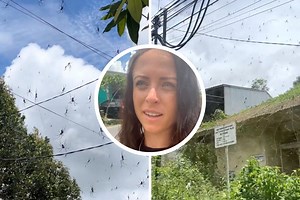 L'incredibile incontro di questa turista a Bali con un'enorme quantità di ragni (VIDEO)