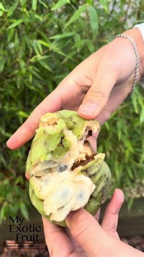 Meet the Cherimoya, one of nature’s most indulgent fruits 🍏✨