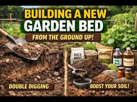 Build a New Garden Bed FAST 🌱 Double Digging + Soil Boost Secrets!