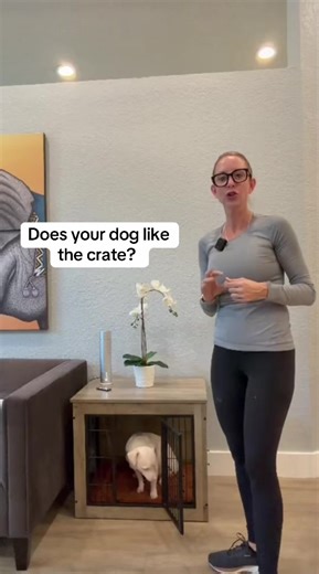 Stylish Dog Crate: A Safe Space for Your Pet