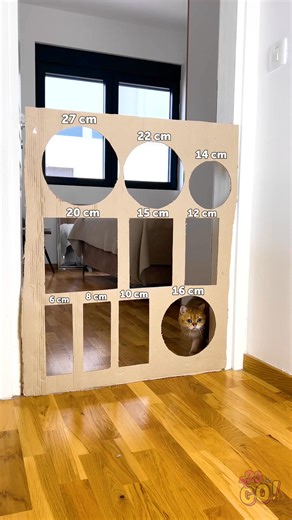 16K views · 64 reactions | Cat Cardboard Challenge Wall  | 123 GO | Facebook
