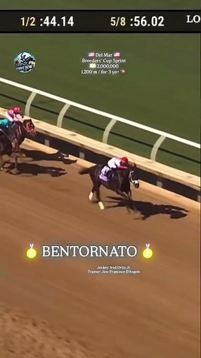 BENTORNATO wins the Breeders’ Cup Sprint 😎🥇
