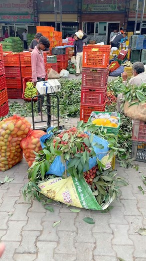 Lichi First Time This season Selling 🍒 !! | Hp Vlogs