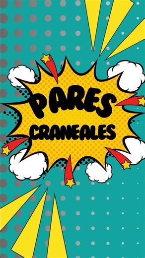 El nervio hipogloso es el duodécimo par craneal y desempeña un papel vital en el cont...