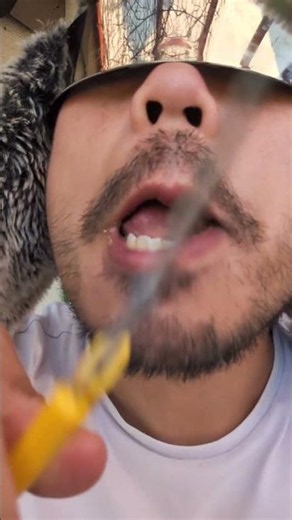 ASMR Syrup Waffle & scissors sounds #shorts #asmr