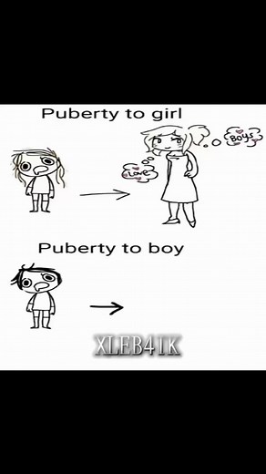 Top Highlights from Rust Gameplay