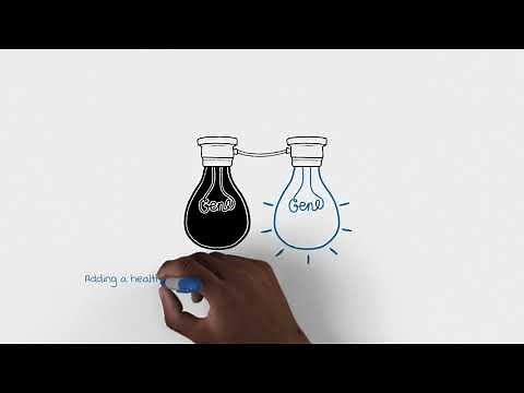 Chapter 2: Types of Gene Therapy