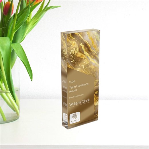 Personalized Acrylic Award Plaque, Custom Corporate Recognition Trophy, Employee Appreciation Award, Leadership Award, Business Achievement - Etsy