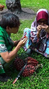Buah Devil Fruit Pandan Laut: Fakta Menarik dan Bahaya