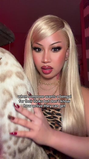 ESPECIALLY when ur sleeping like why u wanna run around the house rn #catsoftiktok #cattok #catparents #catlover #snowbengal #bengalcat